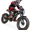 Electric Bike FLYSORA 1000W Fat Tire Black-3