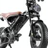 Electric Bike FLYSORA 1000W Fat Tire Black-2