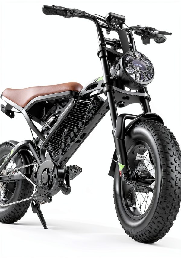 Electric Bike FLYSORA 1000W Fat Tire Black-2