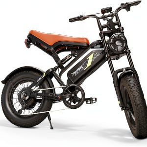 Electric Bike FLYSORA 1000W Fat Tire Black-0