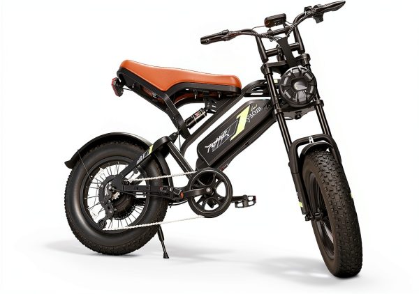 Electric Bike FLYSORA 1000W Fat Tire Black-0